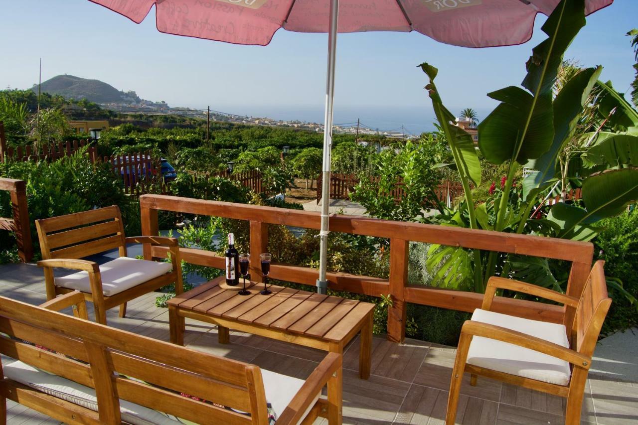 Los Tropicales ラ・オロタバ エクステリア 写真